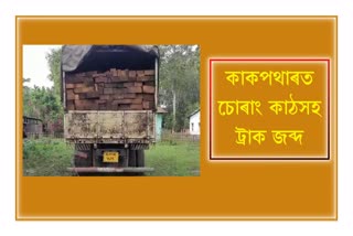 Smuggled Wood Laden Trucks Seized in Kakopathar
