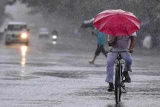 Rain prediction in Kerala  ശക്തമായ മഴയ്ക്ക് സാധ്യത  കേന്ദ്ര കാലാവസ്ഥ നിരീക്ഷണ കേന്ദ്രം  Kerala Rain updates  ശക്തമായ മഴയ്‌ക്ക് സാധ്യത  7 ജില്ലകളില്‍ യെല്ലോ അലേര്‍ട്ട്‌