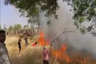 Wheat crops burnt in Morena