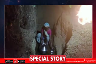 Nashik ETV Bharat Special Story