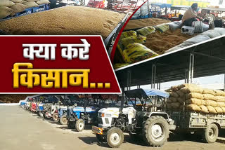 Wheat procurement in Sagarkrishi mandi