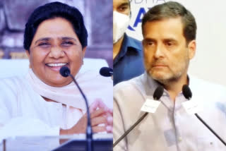 Congress leader Rahul Gandhi while alleging the BJP and RSS were blocking implementation of the Constitution by controlling institutions like the CBI and the ED, which was hurting the poor blamed the BSP supremo Mayawati for not aligning with Congress and paving way for BJP victory in UP.