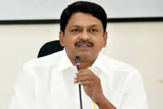 TDP Leaders on CM Jagan Comments