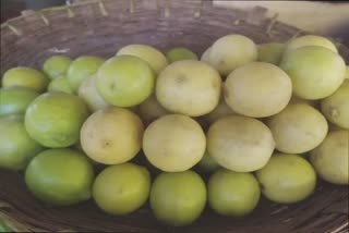 Lemon prices in Gujarat: લીંબુના ભાવ આસમાને જતાં સોશિયલ મીડિયામાં ફરી રહ્યા છે જોક્સ, તમે પણ માણો