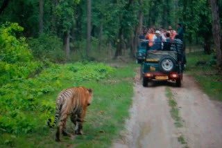 Presence of Naxalites in Kanha Tiger Reserve
