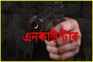 Cattle smuggler shot dead in police encounter at Bilasipara