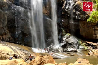 kolli-hills-agaya-gangai-water-falls-in-namakkal