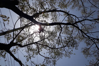 orange alert of heat wave in MP