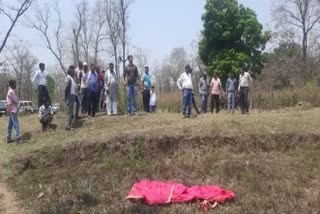 Elephants crushed three people in Dhamtari in two days