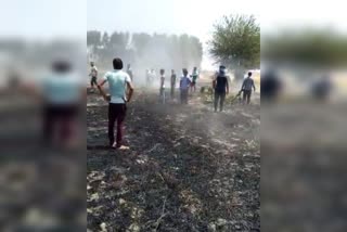 fire in wheat crop in rohtak