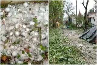 Hailstrom at Uttar Dinajpur