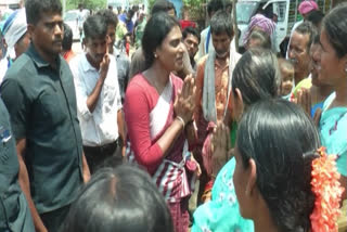 YS Sharmila Comments On Paddy Procurement in padayatra