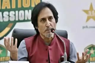 Rameez Raja