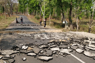 Bastar Fighters