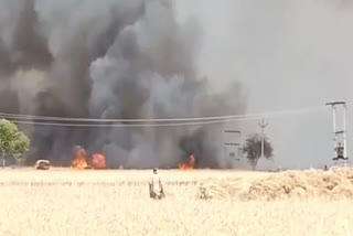 Farms caught fire, farmers lost lakhs