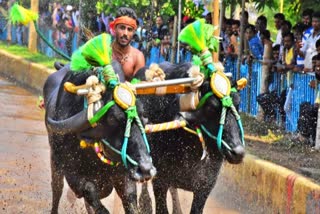 nishant-shetty-created-a-new-record-in-kambala