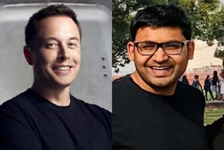 elon musk parag agarwal