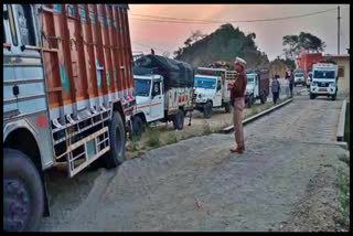 illegal wood caught on Pandoga barrier