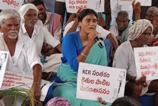 YS Sharmila comments on bjp and trs parties in Padayatra