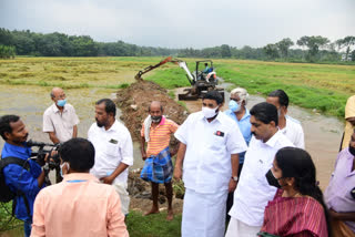 കർഷകർക്ക് യുദ്ധകാലാടിസ്ഥാനത്തിൽ സഹായമെത്താൻ നടപടി: മന്ത്രി വി.എൻ. വാസവൻ  കർഷകർക്ക് യുദ്ധകാലാടിസ്ഥാനത്തിൽ സഹായം  കർഷകർക്ക് സഹായം  സഹകരണ-രജിസ്‌ട്രേഷൻ വകുപ്പു മന്ത്രി വി.എൻ. വാസവൻ പാടശേഖരങ്ങൾ സന്ദർശിച്ചു  paddy visit minister v n vasavan  കൃഷി നാശം  കൃഷി നാശം കർഷകർക്ക് സഹായമെത്താൻ നടപടി