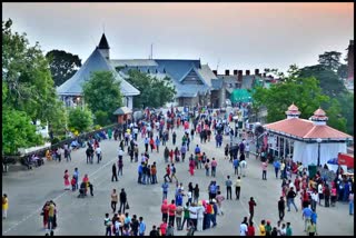 Travel Agents Boycott Shimla