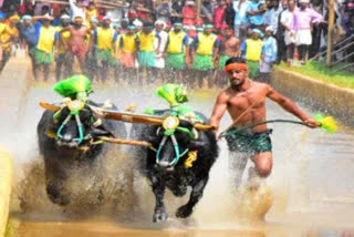 Kambala sprinter Nishanth Shetty