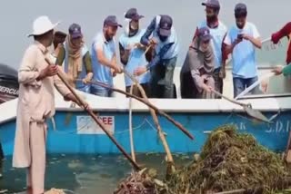 vc-iust-participates-in-deweeding-of-dal-lake