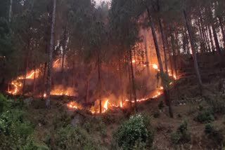 orgy of fire in uttarkashi