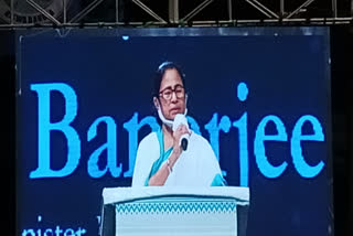 Mamata Banerjee's remarks