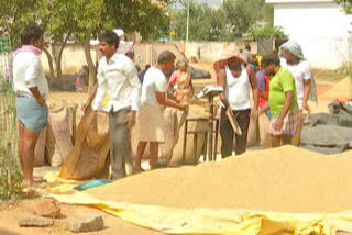 paddy farmers problems: పండించిన ధాన్యాన్ని ప్రభుత్వం కొంటుందా..? కొనదా..?