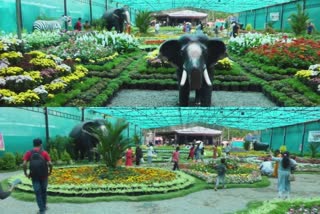 flower show in thekkadi  flower show in idukki  thekkadi flower exhibition  തേക്കടിയിൽ പുഷ്‌പകാലം  തേക്കടി പുഷ്‌പമേള  പുഷ്‌പപ്രദർശനം ഇടുക്കി