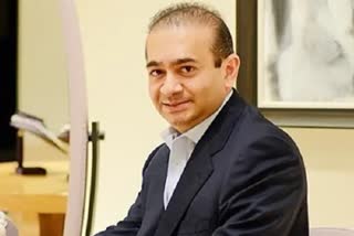 nirav-modi