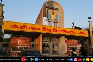 ccsu  Meerut latest news  etv bharat up news  Chaudhary Charan Singh University  Semester system started in CCSU  National Education Policy  नई राष्ट्रीय शिक्षा नीति 2020  चौधरी चरण सिंह विश्वविद्यालय  CCSU में लागू की गई सेमेस्टर प्रणाली