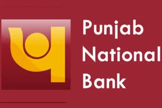 PNB Fraud Case