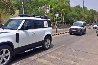 Priyanka Gandhi in Ranthambore