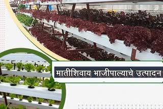 Use of Hydroponic Technology