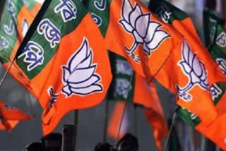 state BJP's top leaders busy in Guwahati Municipal Corporation election campaign