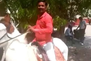 Watch: Man appears in Ajmer Court riding on horse
