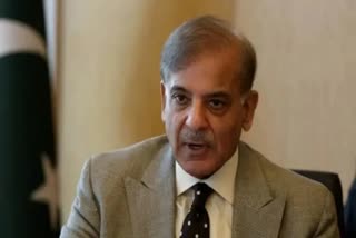 shehbaz sharif