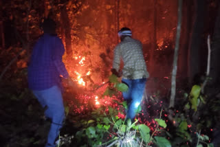 father-daughter-duo-is-extinguishing-fire-in-giridih-forests