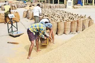 paddy procurement in telangana