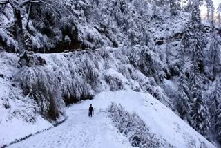 Heat Wave in Himachal