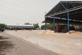 less Grain procurement in Charkhi Dadri