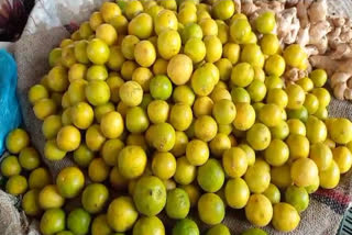 lemon price in sonipat