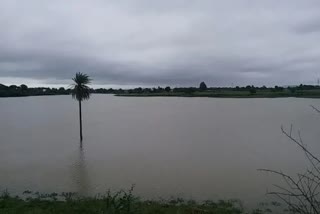 water crisis in chhindwara