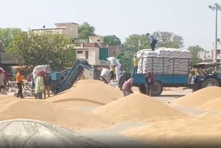Farmers of Punjab are facing two-sided trouble because the temperature in March increased a lot unexpectedly and, hence, grains have shrunken and the yield has also gone down, and on the other side procurement agencies refusing to purchase wheat