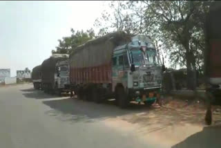 GST officers seized betel nut load lorries