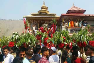 buransh flower