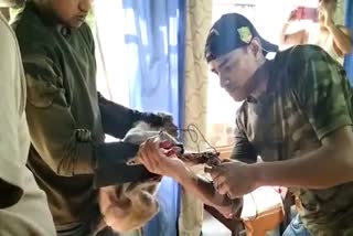 monkey rescued