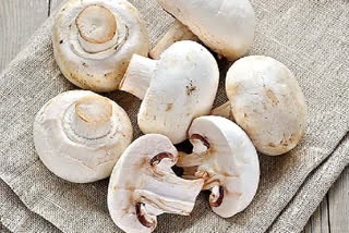 As many as 13 people died within a week after consuming poisonous mushrooms in four districts of Upper Assam